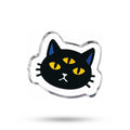 Three-Eyed Cat