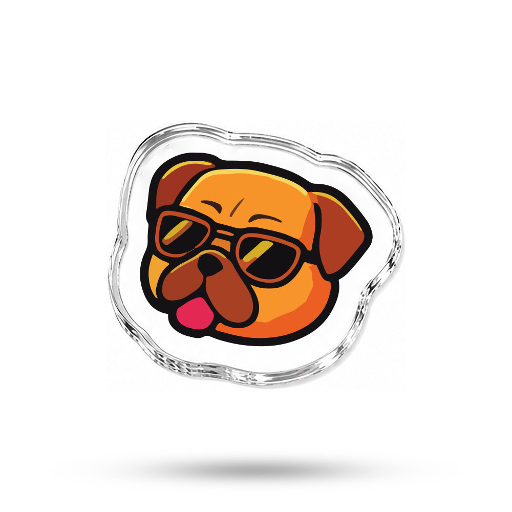 Cool Dog
